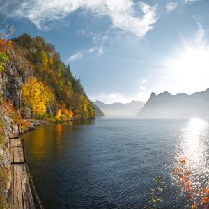 2145 Against All Odds