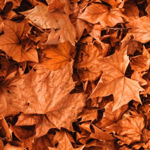 2148 Life is More than What You See