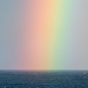 2161 The Nature of Calmness