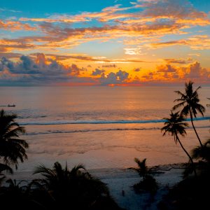 2188 Seize the Right Things