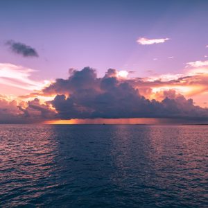 2270 No Matter What Comes