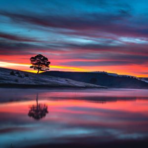 2292 What Scares You Ignites You