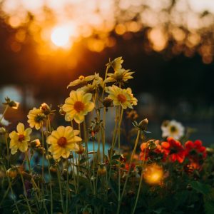 2306 Set Your Eyes on the Promises