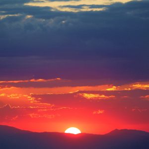 2330 Your Presence is Required