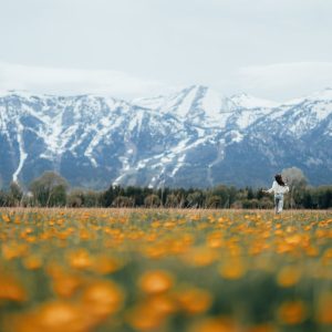 2313 What Do You Have?