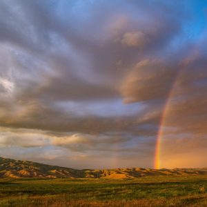 2337 Cancel the Drama and Negativity