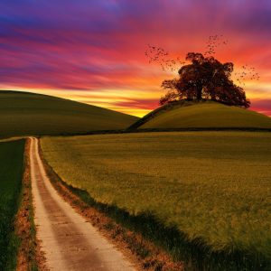 2348 Is What You’re Doing Working?