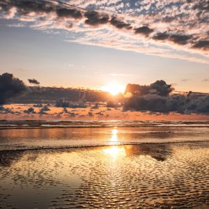 2354 Wait for the Lord