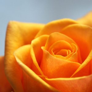 2379 Vulnerability is Your Superpower