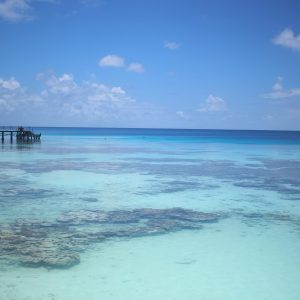 2366 The Power of Perseverance