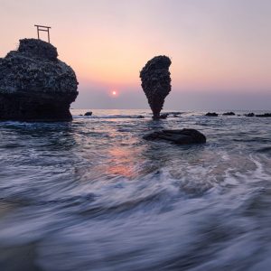 2393 What You’re Made Of