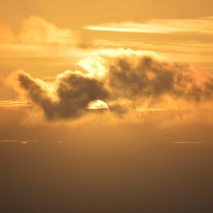 2382 There’s Joy in the House