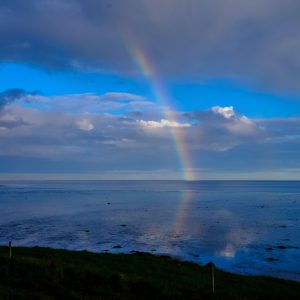 2426 Promise Your Presence