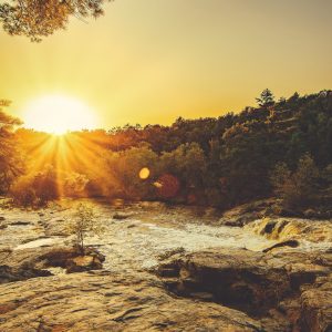 2407 Value What You Have