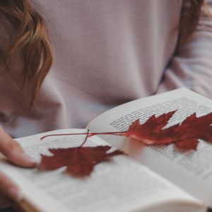 2442 Mark the Beginning