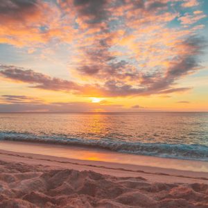 2445 Are You Looking?