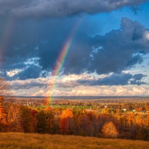 2454 Please Your Heart, Not Your Head