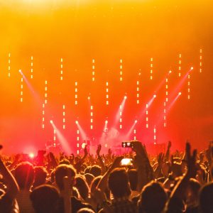 2486 How Can You Notice in a Noisy World?