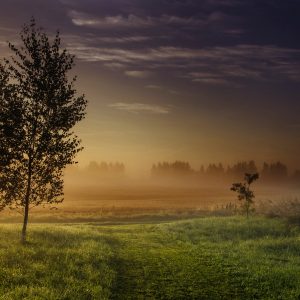 2480 The Joy of Your Presence