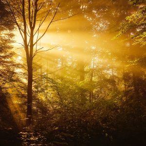 2466 Change Your Heart