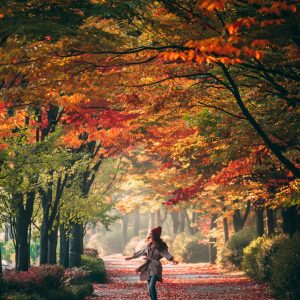 2468 Find Your Everyday Greatness