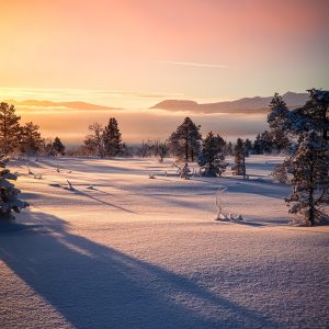 2536 Let Every Heart Prepare Him Room