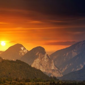 2578 Wait Upon the Lord