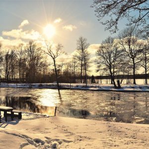 2551 What You Need Today For Tomorrow