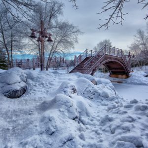 2580 The Decision to Try