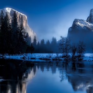 2582 How Can You Not?