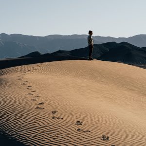 2610 Honor Your Path