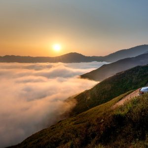 2641 You Don’t Have to Pretend