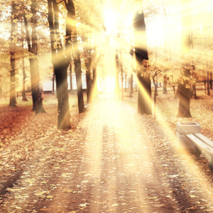 2697 The Highway to Heaven