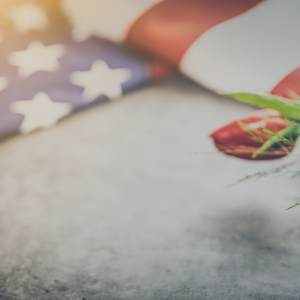 2698 How to Serve in a Fallen World