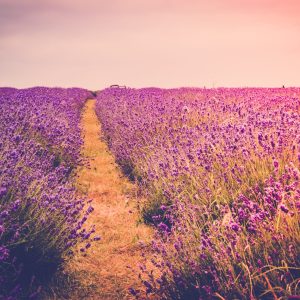 2692 Trust the Magic of New Beginnings