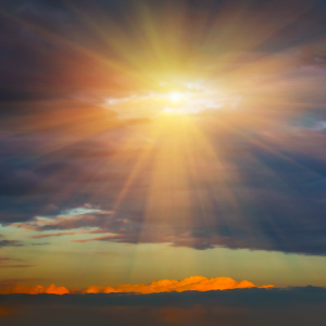 2718 Leave the Details to God