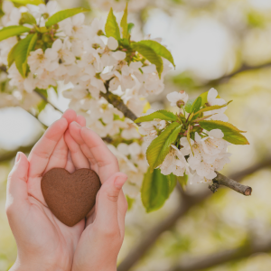 2725 Your Hands Tell the Story of Your Life