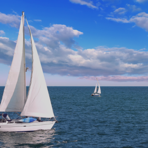 2726 Sail Away from the Safe Harbor