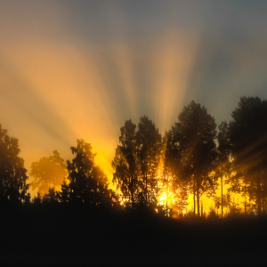 2727 With the Rising of the Sun