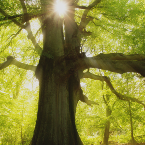 2729 With Every Breaking Comes a New Beginning