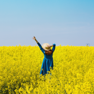 2732 Walk Where No One Wants to Go