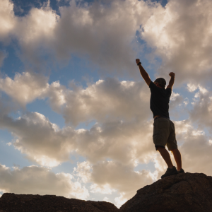 2733 Where Dreams Come True