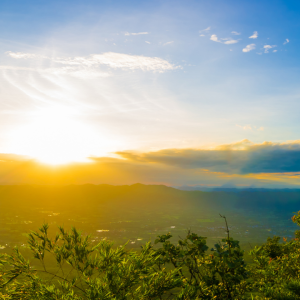 2739 My Soul Waits in Silence