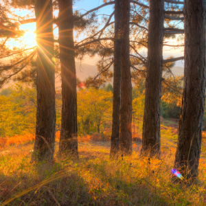 2740 What’s Possible Tomorrow