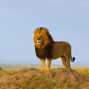 2743 Your Presence is Your Momentum