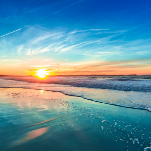 2753 When You Have Nothing to Say