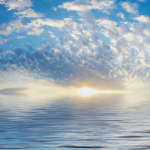 2760 What is the Will of God?