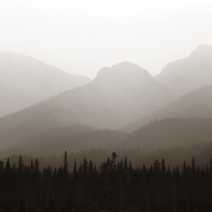 2768 Conquer the Mountain that Constrains You