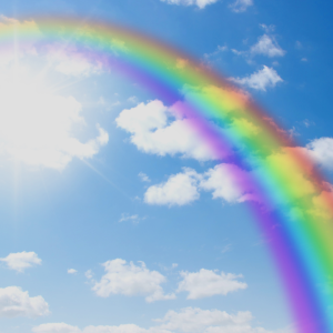 2771 Aim for Your Dreams