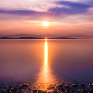 2776 Regain Your Focus